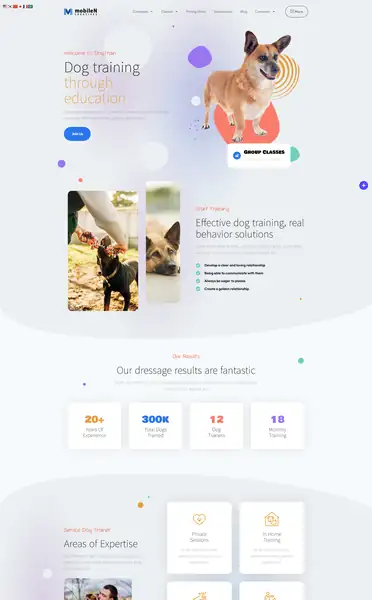 워드프레스 디자인